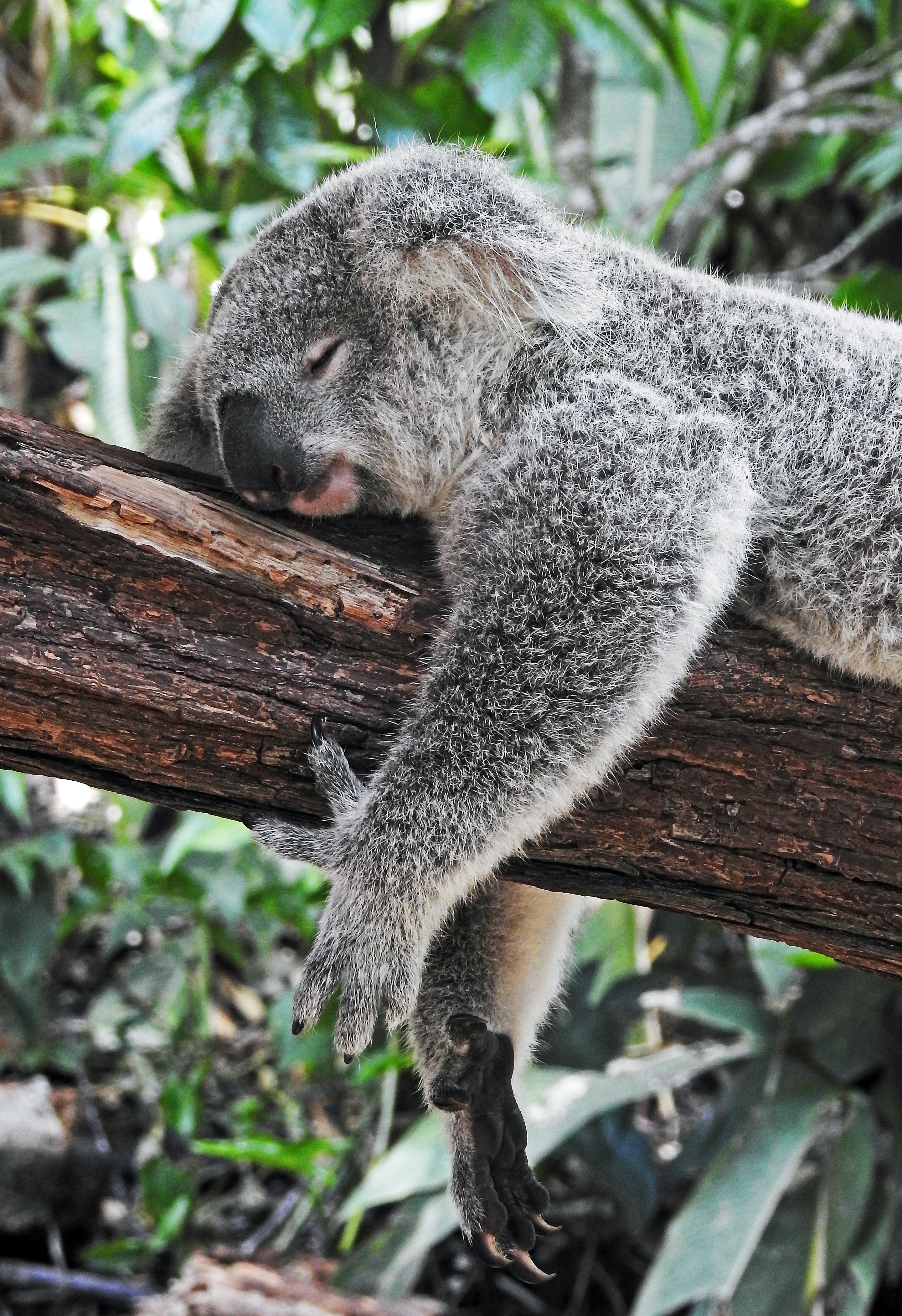 Feeling drained? Discover 7 types of Rest
