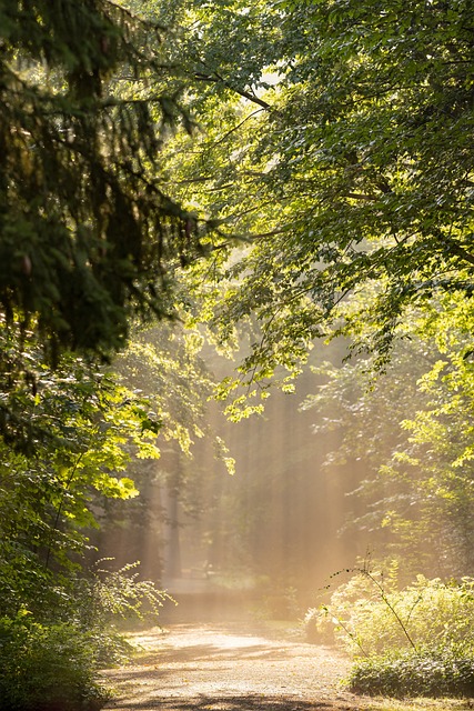 Nature is therapy