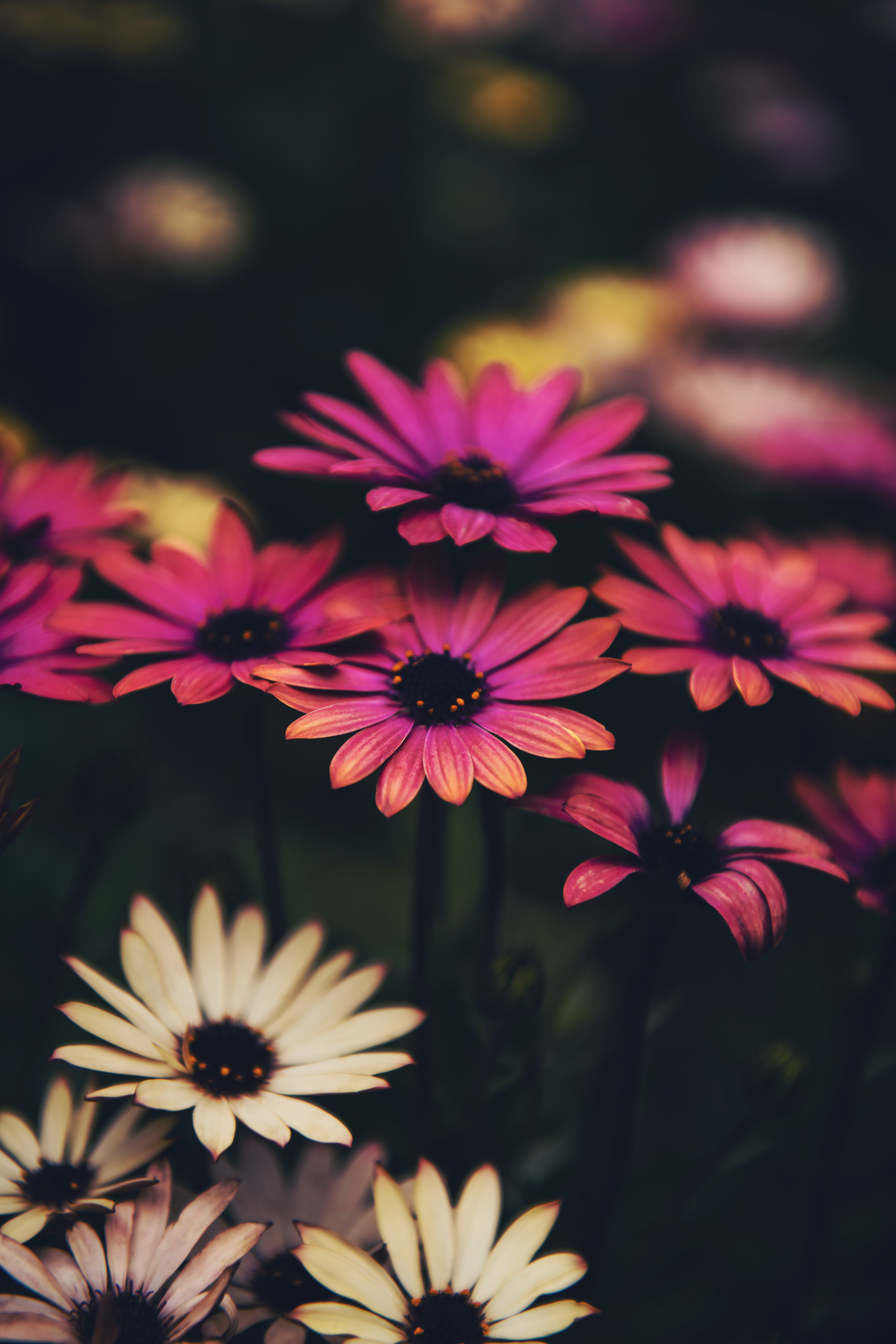 Why Being Highly Sensitive is a Modern Super power